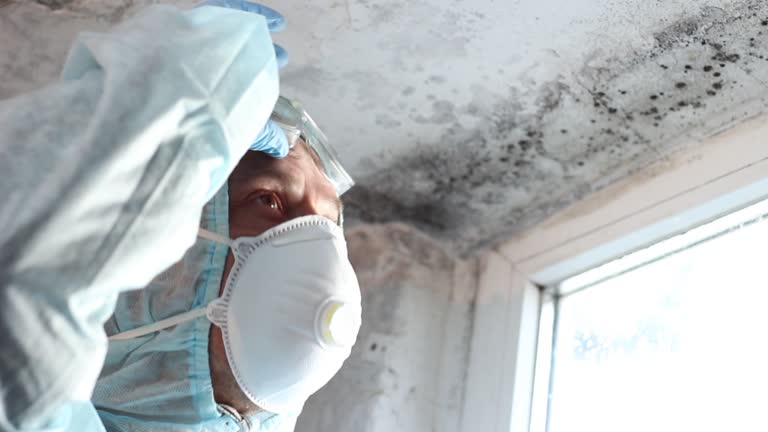 Best Mold Damage Restoration  in , NJ